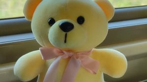 Дорога на Москву