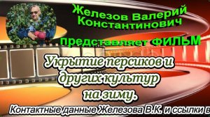 Укрытие персиков и других культур на зиму.