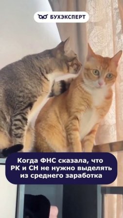 Когда ФНС сказала, что РК и СН не нужно выделять из среднего заработка #бухюмор