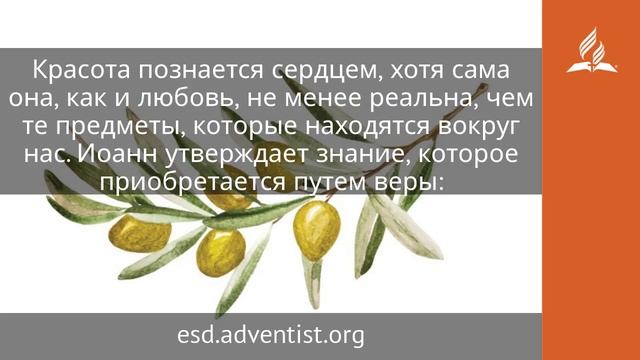 26 июня 2025. Золотое сечение. Под сенью благодати _ Адвентисты смотреть онлайн