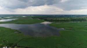 Станица Брюховецкая