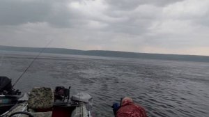 Рыбалка на Ангаре 20-26 июня 2023