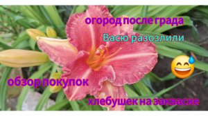 Переезд из Сибири на юг. Купили дом на юге. Наслаждаемся южной жизнью. 💖9серия