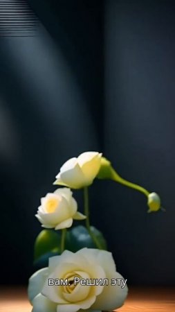 Я вернулась