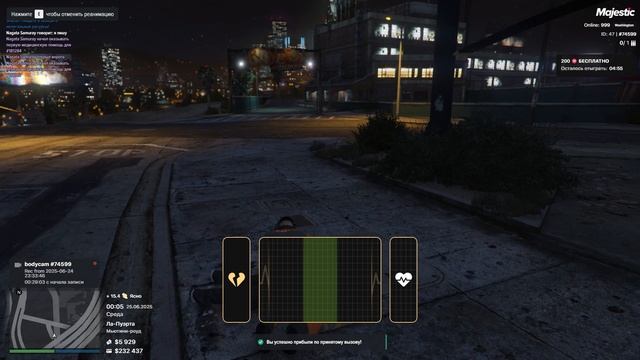 Grand Theft Auto V неуважение к сотруднику ЕМС, дм