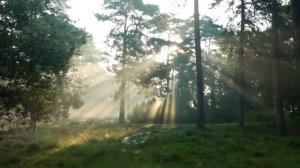Звуки природы, Расслабляющая музыка, Успокаивающая музыка, Исцеляющая музыка
