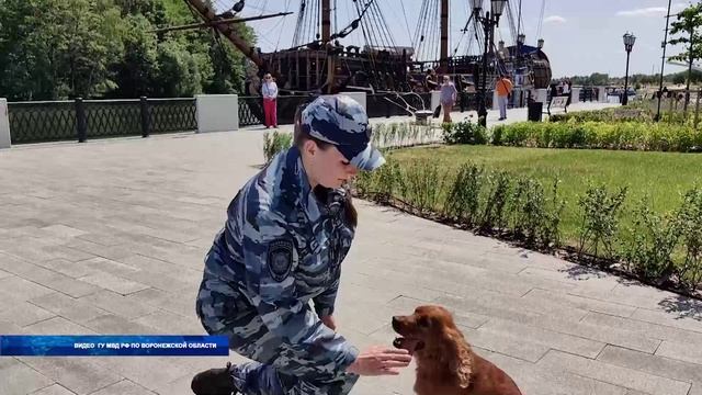 В России отметили День кинолога