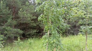 Зем участок ижс 43:30:420213:900