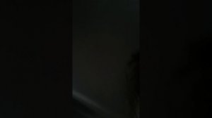 пробралась к Арине домой
