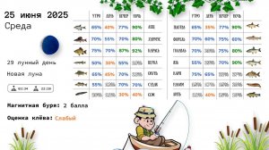 Прогноз клёва рыбы на 25 июня 2025 года, среда на основе лунного календаря, магнитных бурь, погоды