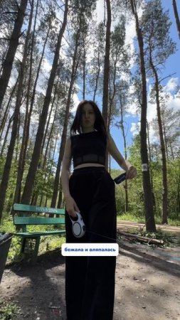 Как проходит прогулка с собакой