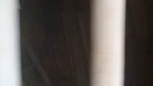 чиним советское наследие 
.mp4