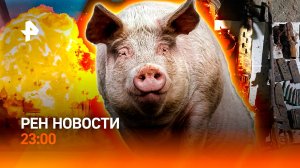 Иран и Израиль сложили оружие / Оружейный схрон / Свиньи захватили город / РЕН Новости 23:00, 24.06.