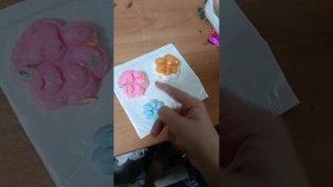 все мои сквиши