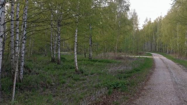Чкаловск видеообзор