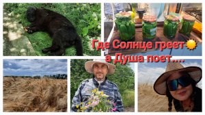 38. Семейный очаг на Кубани. Искали одно, а нашли больше.