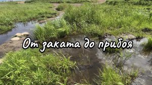 Влог. Эпизодики из моей жизни. Конец весны, начало лета. 24 июня 2025 г.