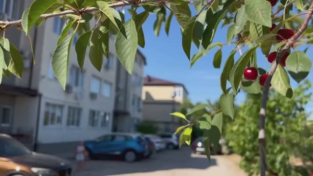 Уютная и красивая 2х комнатная квартира в Супсехе. смотреть онлайн