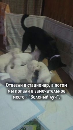 Я хочу домой