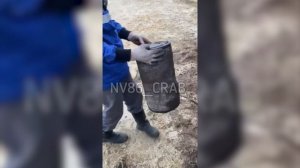 Котлеты из комаров: нефтяники из ХМАО сняли на камеру нашествие кровососов