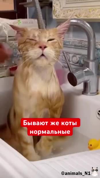 Подпишись 👉 https://vk.com/ykrasheniy_iz_kamny