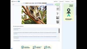 Генерация картинок при помощи  «Img-webcalypt»
