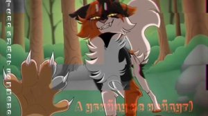 коты воители клип кленовница сказка дураков коты