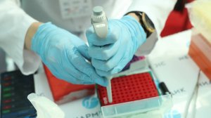 Российские ученые обнаружили радиоустойчивые грибы внутри ядерного реактора