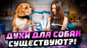 Распаковка косметики для собак| Духи для собак существуют?