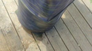 WhatsApp Video 2025-06-25 at 11.27.41
