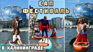 САП Фестиваль в Калининграде