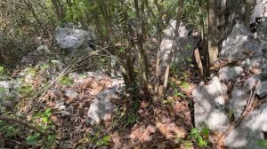 Лазили в горах