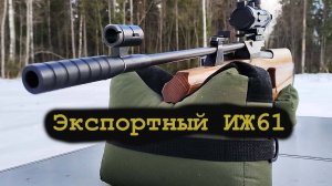 ИЖ МР 61 стрельба из пневматической винтовки видео