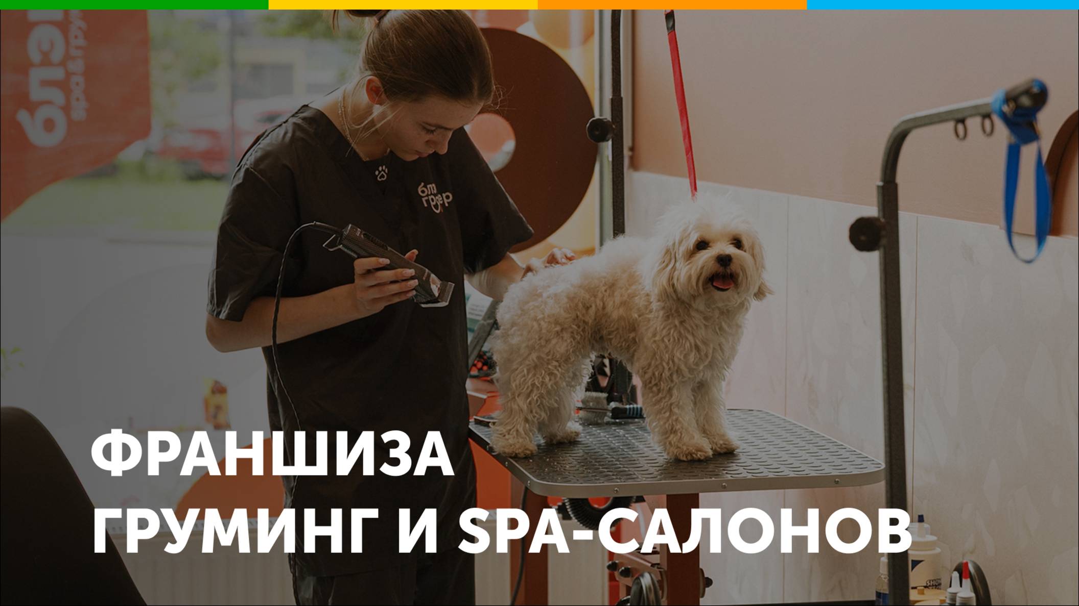 Франшиза груминг салона Блэкгрумер