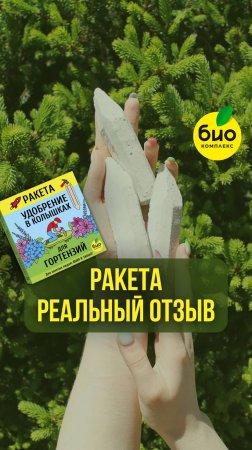 Реальный отзыв про Ракету