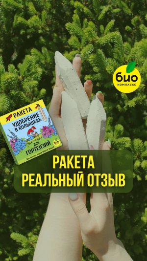 Реальный отзыв про Ракету