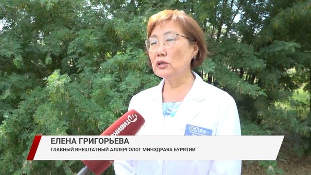 Как спасаться от аллергии жителям Бурятии