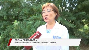 Как спасаться от аллергии жителям Бурятии