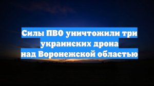 Силы ПВО уничтожили три украинских дрона над Воронежской областью