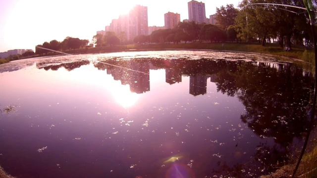 ПИТЕР ❤️РЫБАЛКА НА КАРАСЯ 🎣🎣🎣