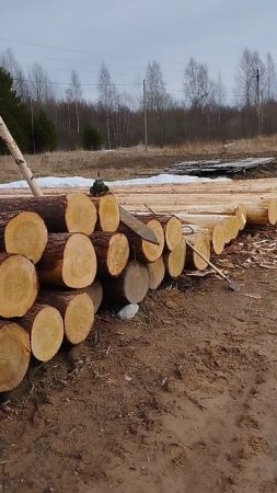 Подготовка к строительству