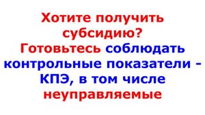 Гос. субсидию в обмен на показатели выручки и производительности труда 2
