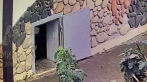 Когда Шерхан забил гол в свой домик? На какой минуте?