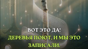 ВОТ ЭТО ДА! ДЕРЕВЬЯ ПОЮТ, И МЫ ЭТО ЗАПИСАЛИ. СМОТРИТЕ ВИДЕО.
