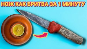 Как просто заточить нож до БРИТВЕННОЙ ОСТРОТЫ за 1 минуту