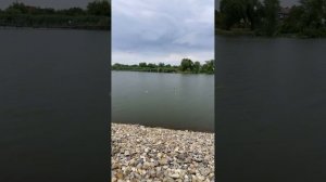 Накричала любовью 😂