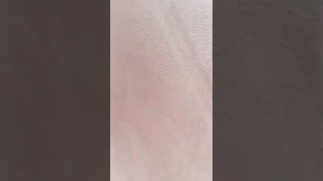 всем, привет и я хочу показать дом своей тёти!