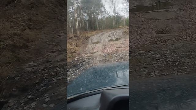 По бездорожью до дачи