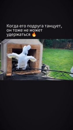 Эмоциональный парниша)