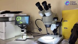 В гости к ученому!